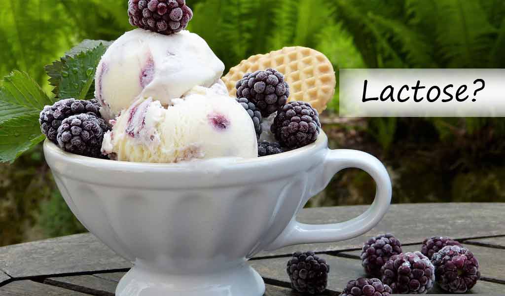 lactase-blog